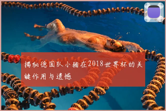 揭秘德国队小猪在2018世界杯的关键作用与遗憾