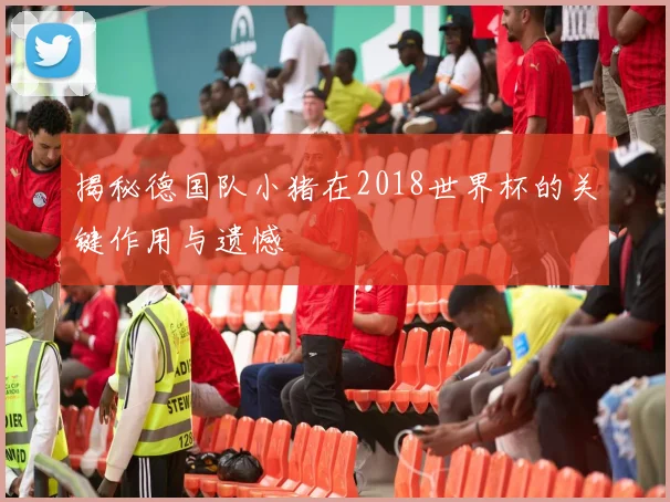 揭秘德国队小猪在2018世界杯的关键作用与遗憾