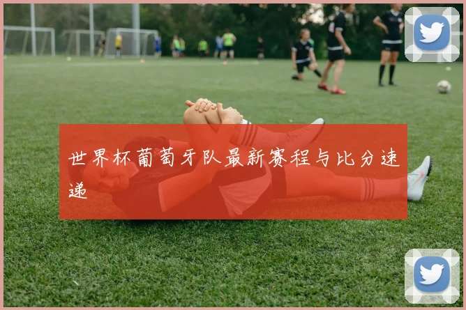 世界杯葡萄牙队最新赛程与比分速递