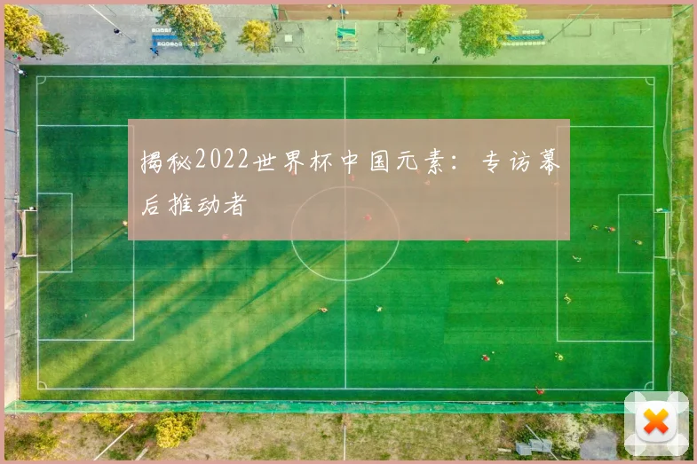 揭秘2022世界杯中国元素：专访幕后推动者
